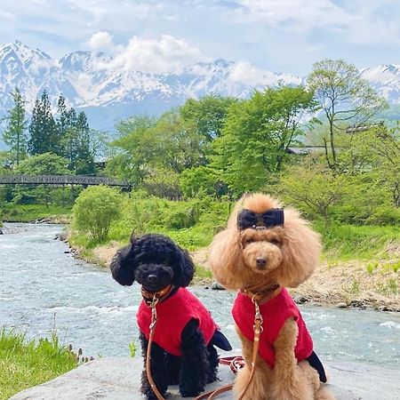 白馬パウダーマウンテン Hotel Хакуба Екстериор снимка